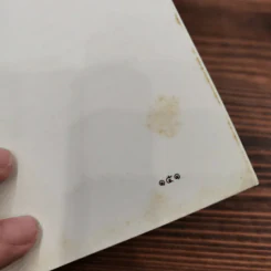 โป๊ยเซียน - ส.พลายน้อย รูปที่ 16