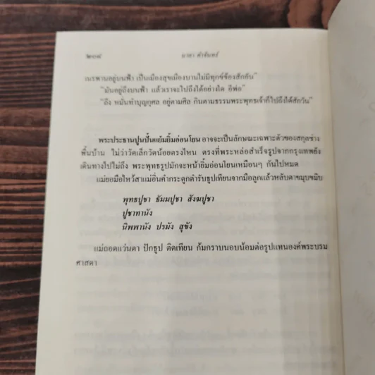 ดาบอุปราช - มาลา คำจันทร์ รูปที่ 10