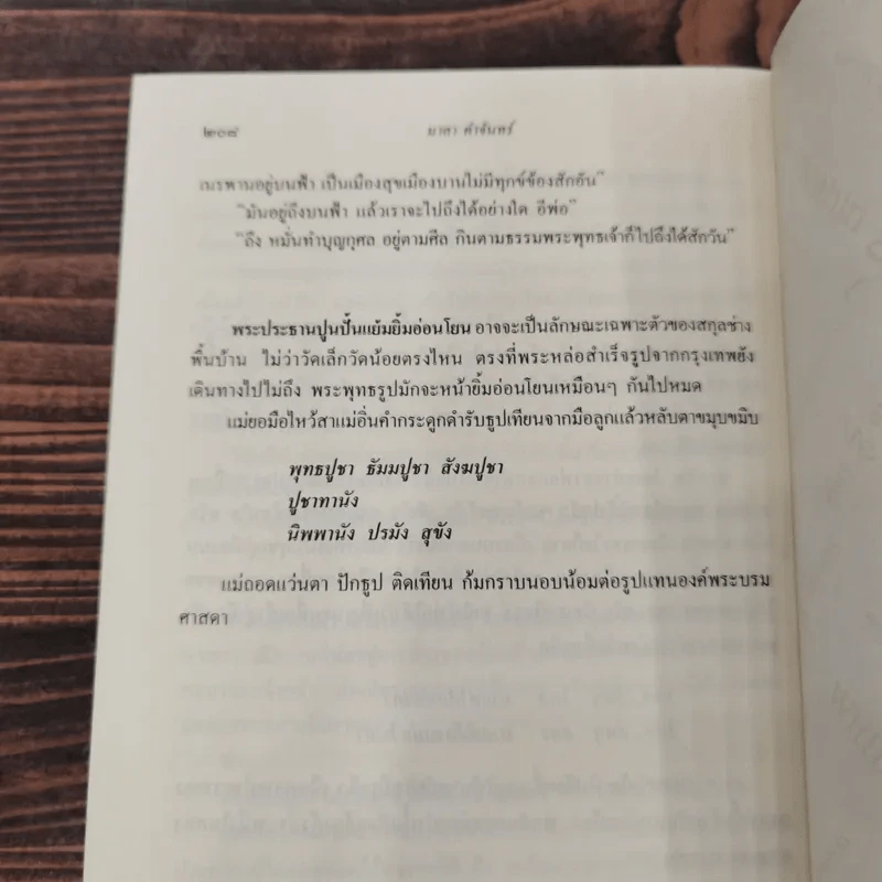 ดาบอุปราช - มาลา คำจันทร์ รูปที่ 10