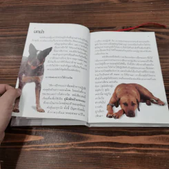 Dog  Training Handbook คู่มือฝึกสุนัข: เห็นผลใน 10 สัปดาห์ รูปที่ 8