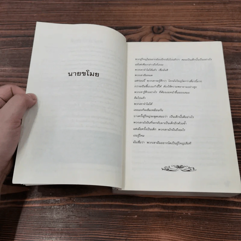 นายขโมย ความฝันอันยิ่งใหญ่ของเด็กชายที่กลายเป็นจริง - Cornelia Funke รูปที่ 8