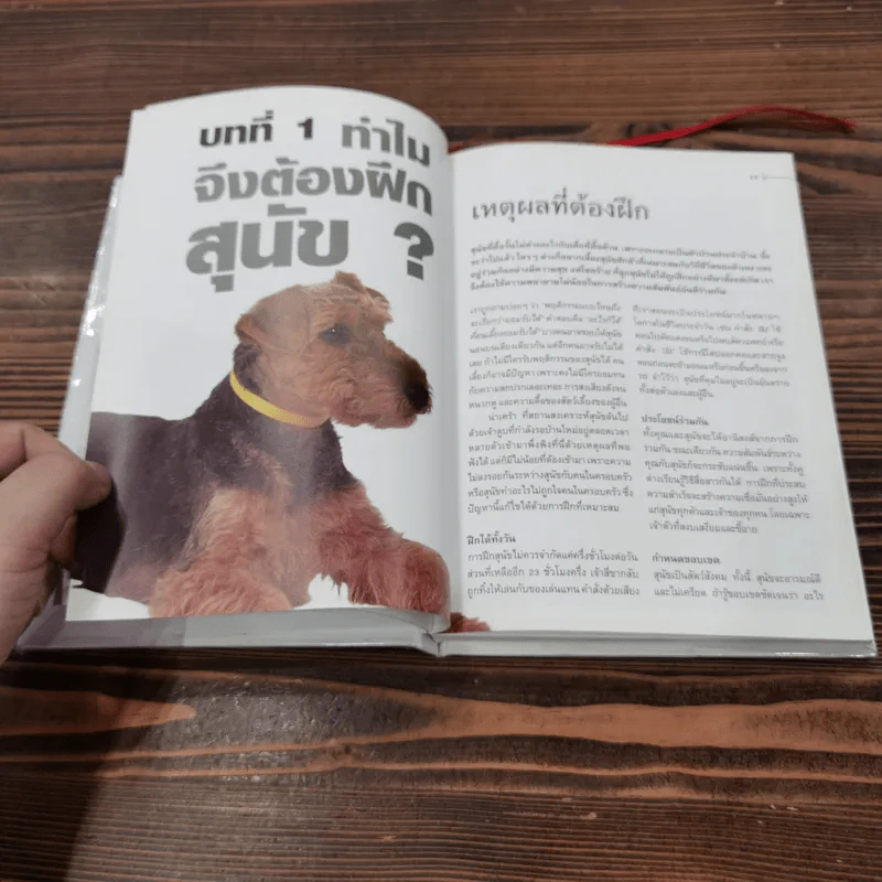Dog  Training Handbook คู่มือฝึกสุนัข: เห็นผลใน 10 สัปดาห์ รูปที่ 10
