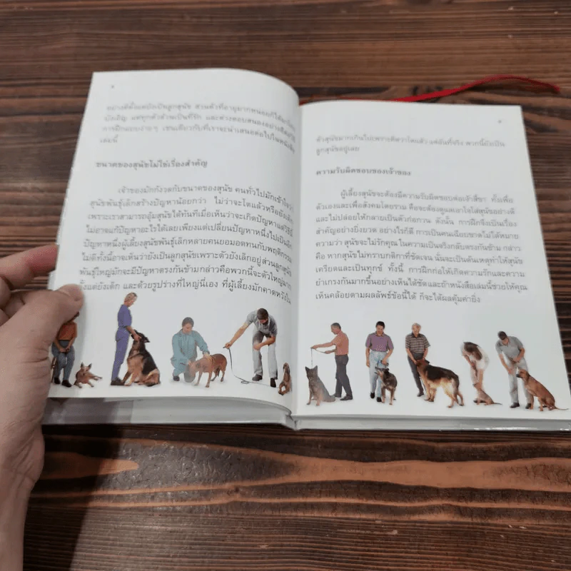Dog  Training Handbook คู่มือฝึกสุนัข: เห็นผลใน 10 สัปดาห์ รูปที่ 9