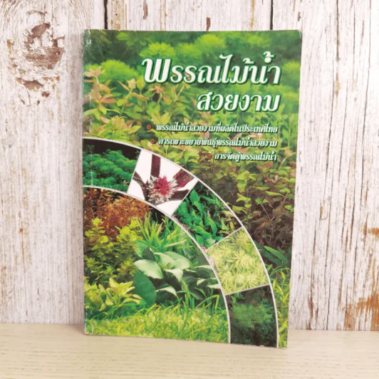 พรรณไม้น้ำสวยงาม Aquarium Plants รูปที่ 1