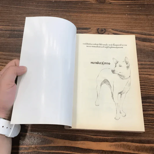 หมาพัน(ธุ์)ทาง 1,000 Ways Dog รูปที่ 6