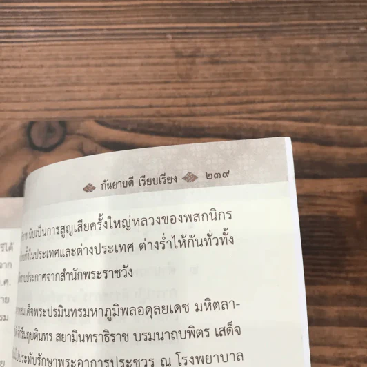 บันทึกแผ่นดินสยาม - กันยาบดี รูปที่ 11