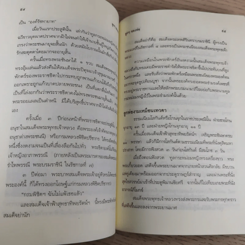 ลูกๆของพ่อ - ฉัตรเฉลิม รูปที่ 14