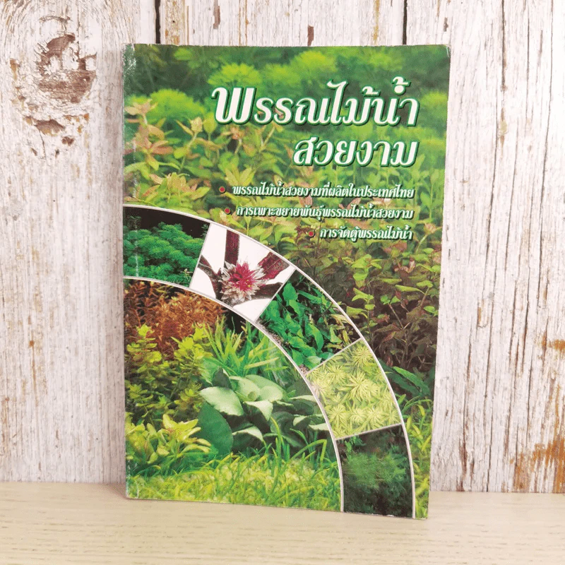พรรณไม้น้ำสวยงาม Aquarium Plants รูปที่ 1
