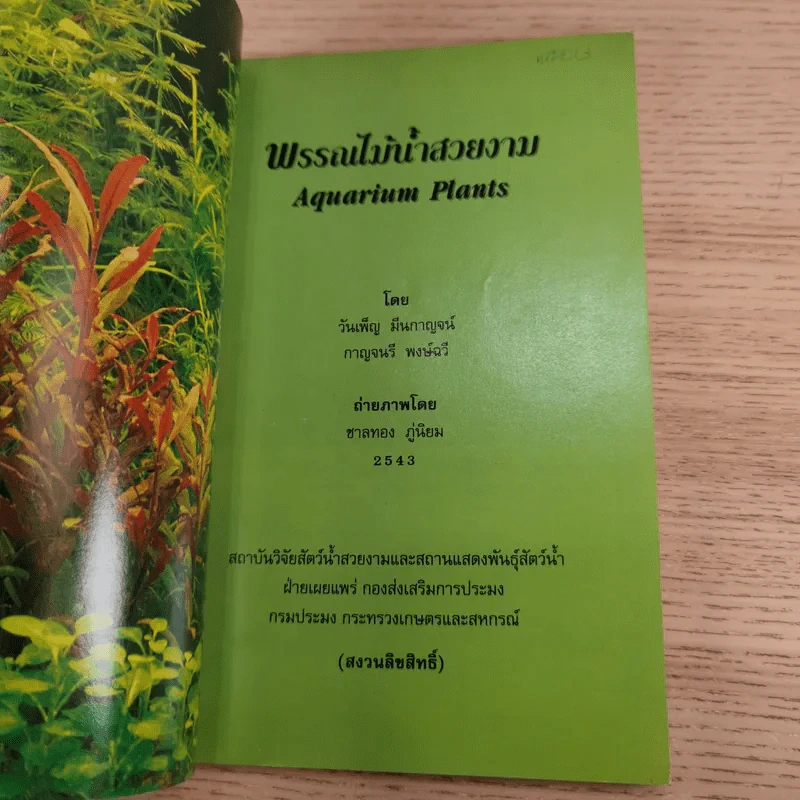 พรรณไม้น้ำสวยงาม Aquarium Plants รูปที่ 7