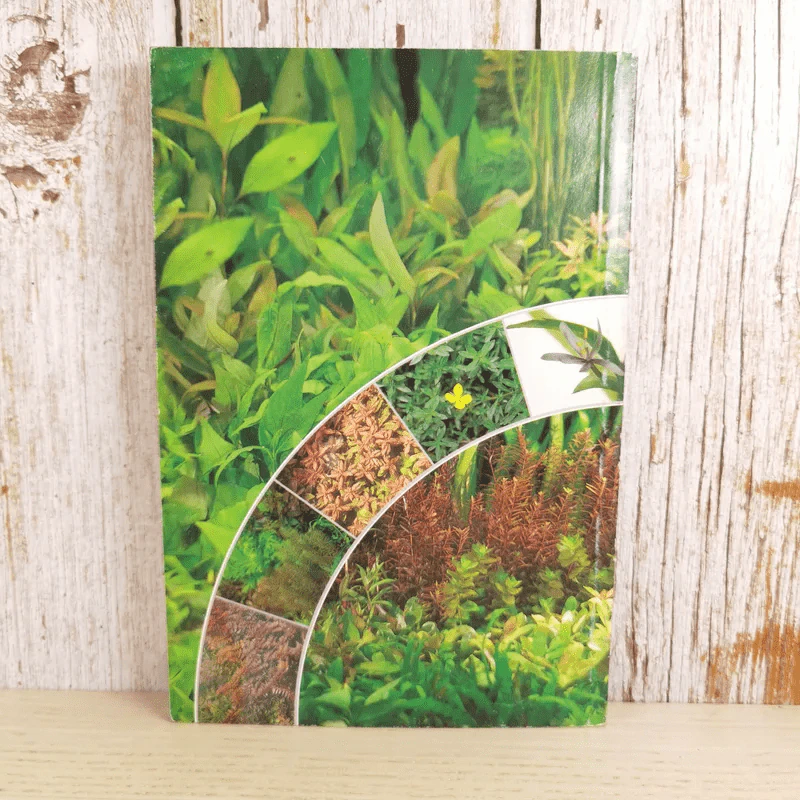 พรรณไม้น้ำสวยงาม Aquarium Plants รูปที่ 2
