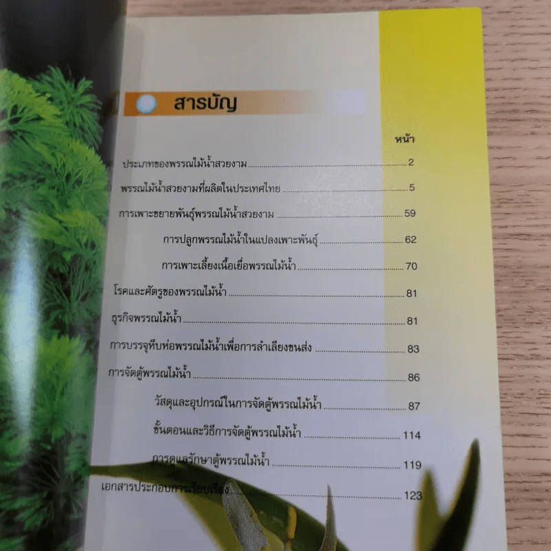 พรรณไม้น้ำสวยงาม Aquarium Plants รูปที่ 10