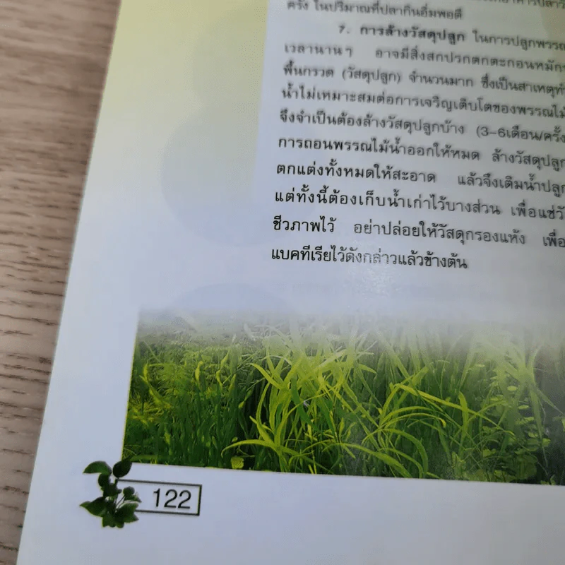 พรรณไม้น้ำสวยงาม Aquarium Plants รูปที่ 16
