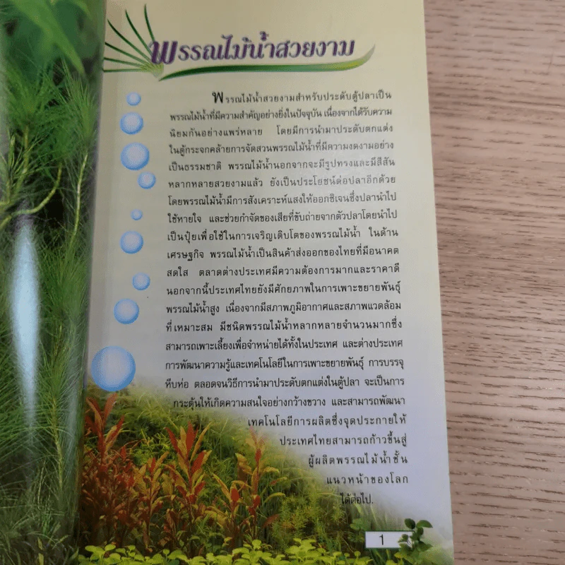 พรรณไม้น้ำสวยงาม Aquarium Plants รูปที่ 11
