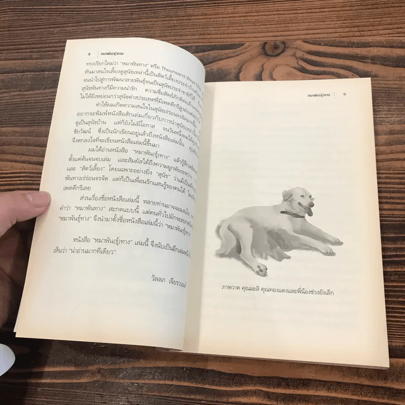 หมาพัน(ธุ์)ทาง 1,000 Ways Dog รูปที่ 10