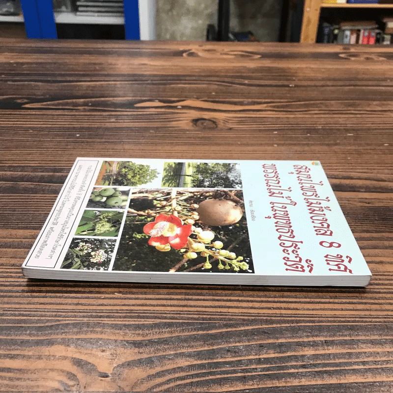 สมุนไพรไม้มงคล 8 ทิศ พรรณไม้ในพุทธประวัติ รูปที่ 3