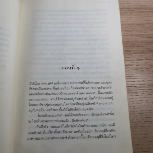 เซรีญา 3 เล่มจบ - พัณณิดา ภูมิวัฒน์ รูปที่ 17