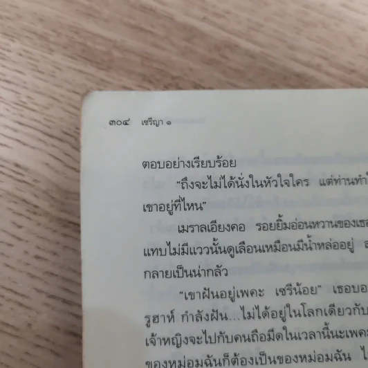 เซรีญา 3 เล่มจบ - พัณณิดา ภูมิวัฒน์ รูปที่ 19
