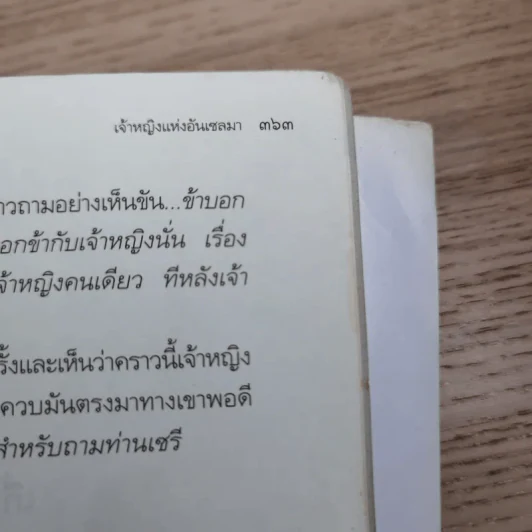 เซรีญา 3 เล่มจบ - พัณณิดา ภูมิวัฒน์ รูปที่ 34