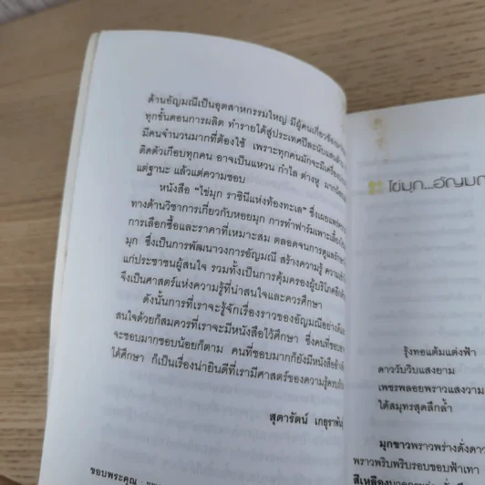 ไข่มุก ราชินีแห่งท้องทะเล - มณิขจิต รูปที่ 14