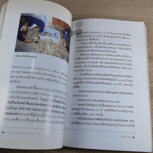 ไข่มุก ราชินีแห่งท้องทะเล - มณิขจิต รูปที่ 18