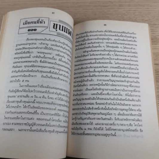 บทความลางเรื่องของ นายทองต่อ กล้วยไม้ ณ อยุธยา รูปที่ 12
