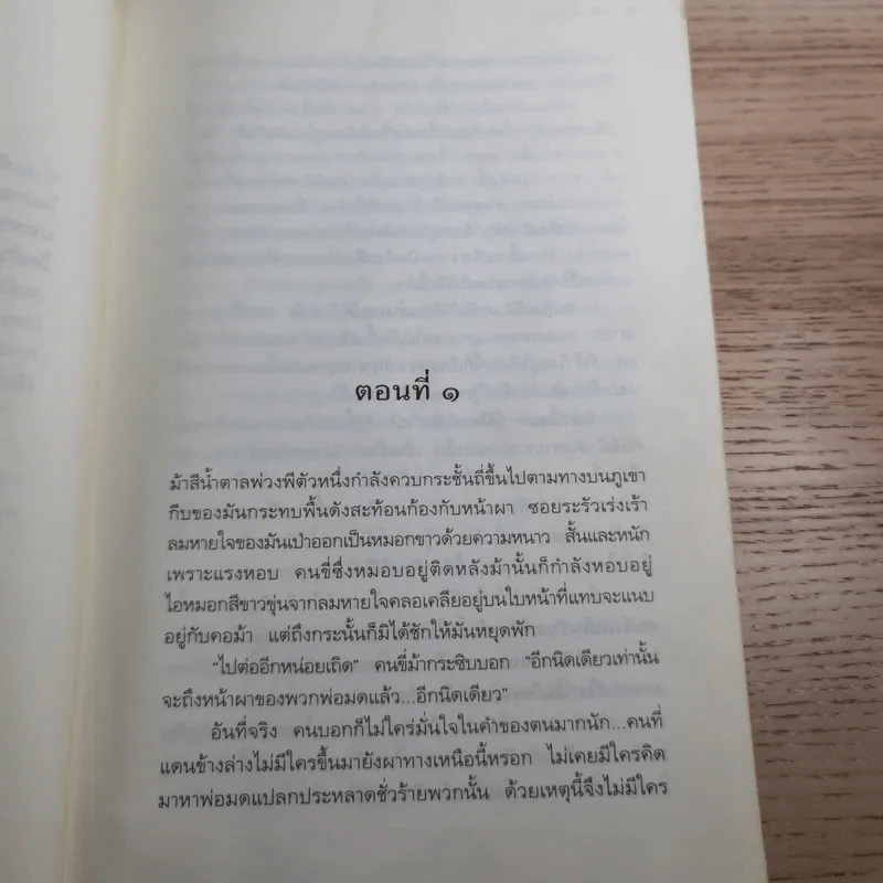เซรีญา 3 เล่มจบ - พัณณิดา ภูมิวัฒน์ รูปที่ 17