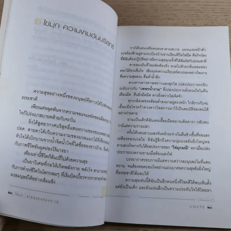 ไข่มุก ราชินีแห่งท้องทะเล - มณิขจิต รูปที่ 15
