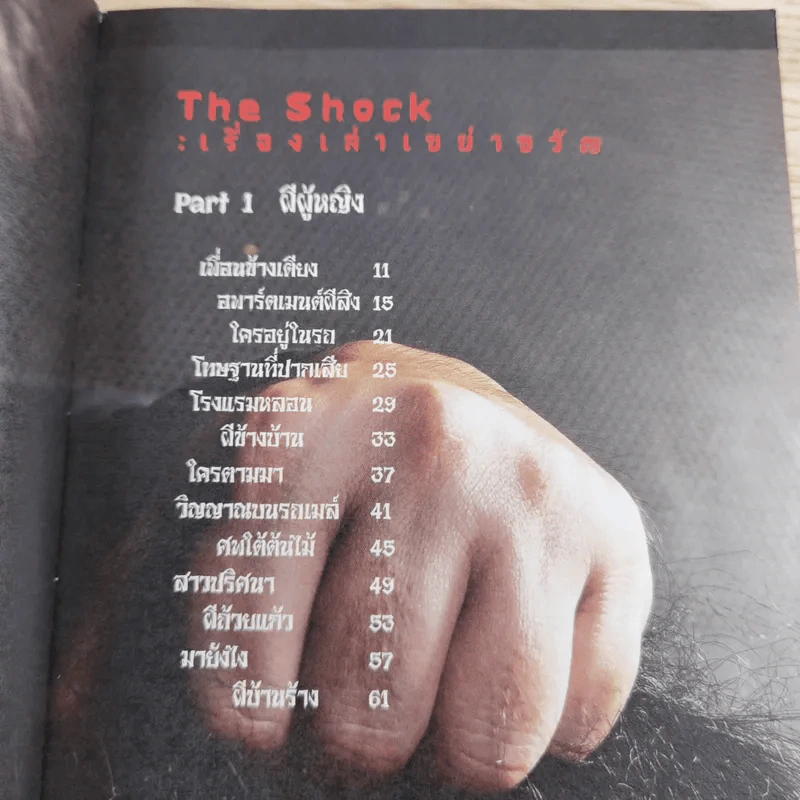 The Shock เรื่องเล่าเขย่าขวัญ - ดีเจป๋อง กพล ทองพลับ รูปที่ 11