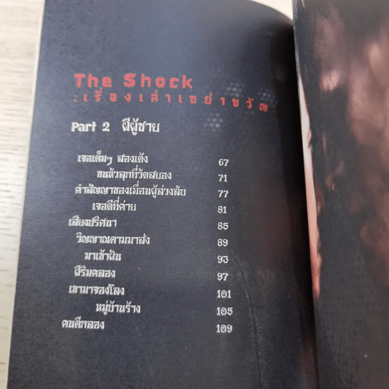 The Shock เรื่องเล่าเขย่าขวัญ - ดีเจป๋อง กพล ทองพลับ รูปที่ 12