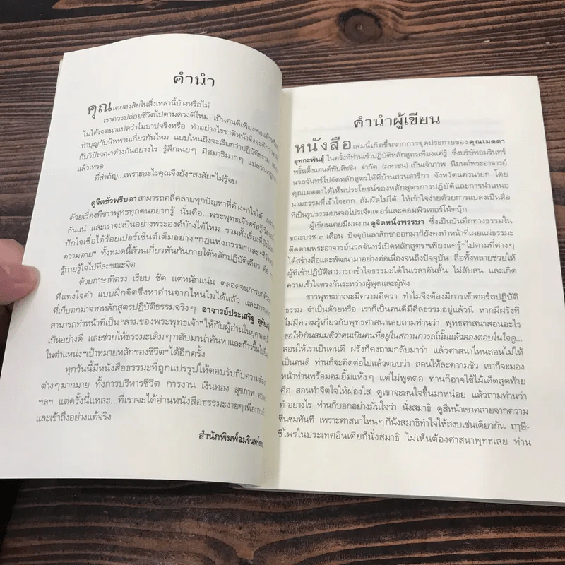 ดูจิตชั่วพริบตา - ปัญญาวโรภิกขุ (ประเสริฐ อุทัยเฉลิม) รูปที่ 10