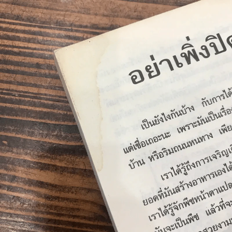 วิทยาศาสตร์ โหด มัน ฮา พืชวายร้าย ต้นไม้น่ารัก รูปที่ 9