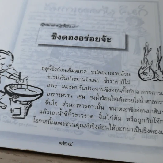 ขบวนการแก้จน เล่ม 2 กินแก้จน (ทำกินก็ได้ ทำขายก็ดี) - ประยูร จรรยาวงษ์ รูปที่ 16