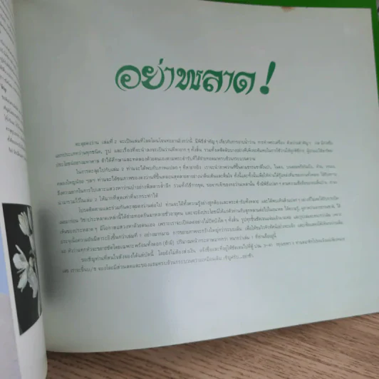 ตะลุยดงว่าน - เชษฐา (ปกแข็ง) รูปที่ 16