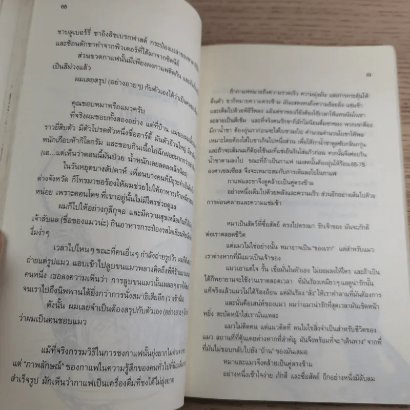 กาแฟและชา หมาและแมว - โตมร ศุขปรีชา รูปที่ 14