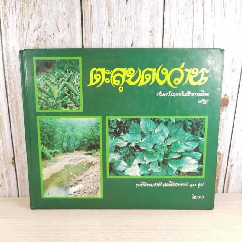 ตะลุยดงว่าน - เชษฐา (ปกแข็ง) รูปที่ 1