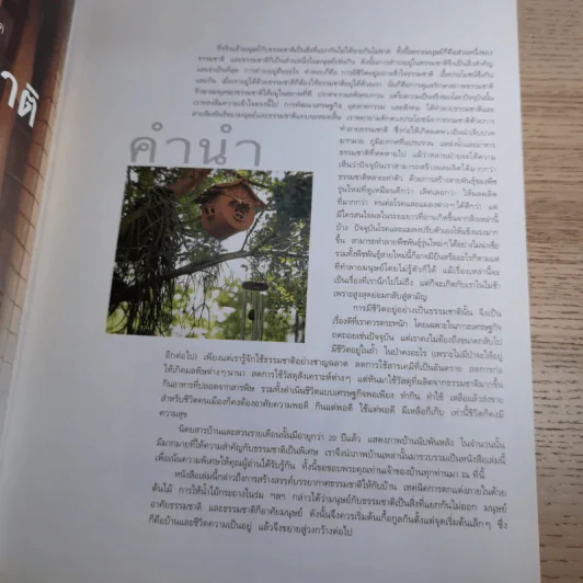 บ้านสวนและการตกแต่ง ชุด บ้านกับธรรมชาติ รูปที่ 9