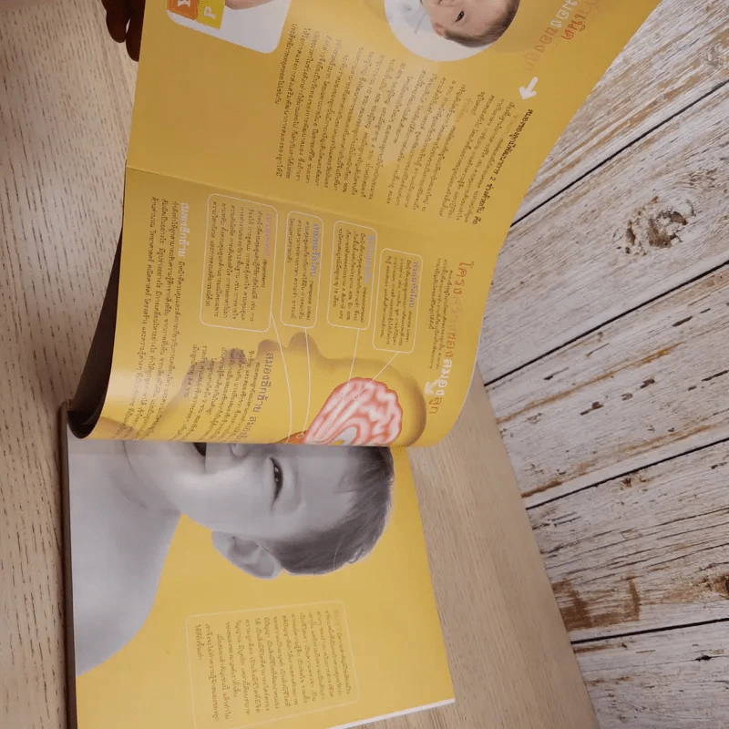 Brain Development คู่มือพัฒนาสมองลูกด้วยสองมือพ่อแม่ รูปที่ 12