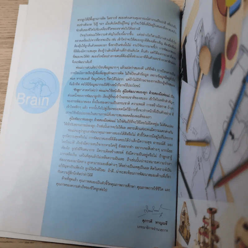 Brain Development คู่มือพัฒนาสมองลูกด้วยสองมือพ่อแม่ รูปที่ 9