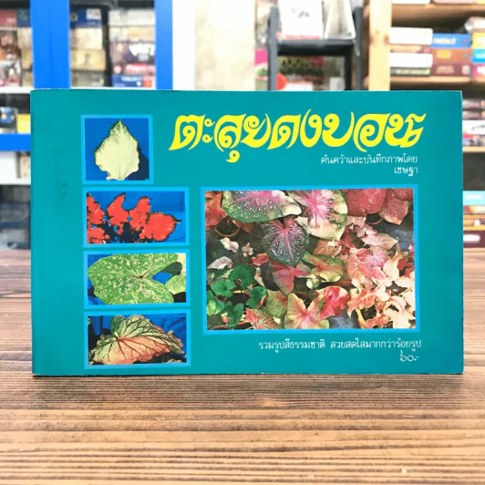 ตะลุยดงบอน - เชษฐา รูปที่ 1