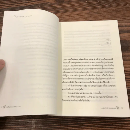 ลุ่มหนองละอองฝน - เฉลิมศักดิ์ แหงมงาม รูปที่ 11