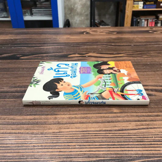 แก้วจอมแก่น - แว่นแก้ว รูปที่ 2