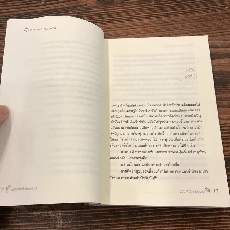 ลุ่มหนองละอองฝน - เฉลิมศักดิ์ แหงมงาม รูปที่ 11