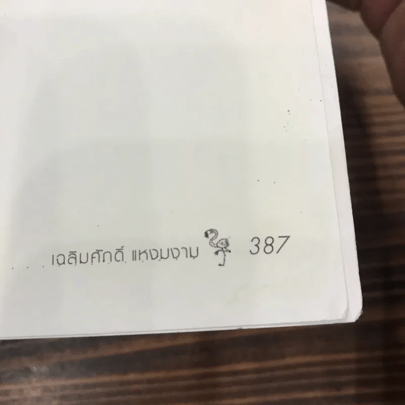 ลุ่มหนองละอองฝน - เฉลิมศักดิ์ แหงมงาม รูปที่ 12