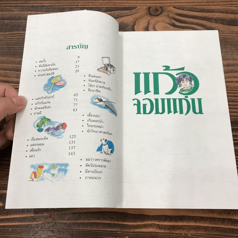 แก้วจอมแก่น - แว่นแก้ว รูปที่ 10