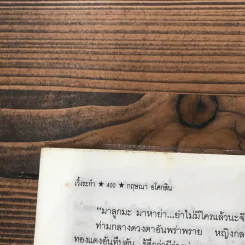 เวิ้งระกำ - กฤษณา อโศกสิน รูปที่ 13