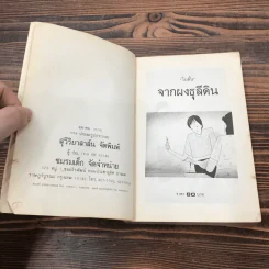จากผาธุลีดิน - โบตั๋น รูปที่ 7