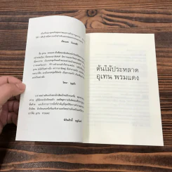 ต้นไม้ประหลาด - อุเทน พรมแดง รูปที่ 7