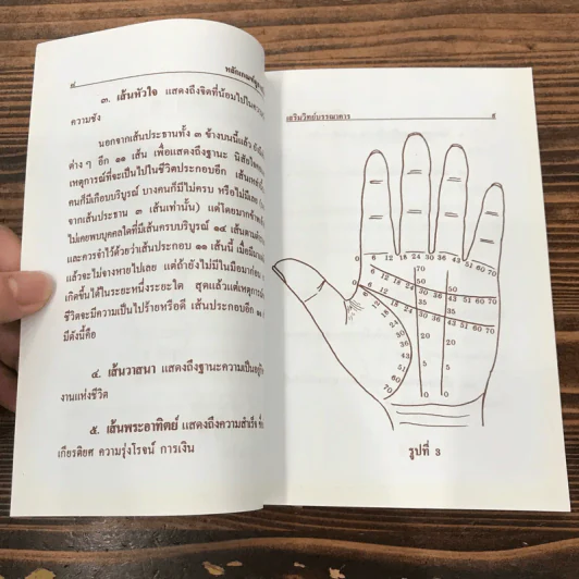 ตำราหลักเกณฑ์ดูลายมือ - ญาณ รูปที่ 12