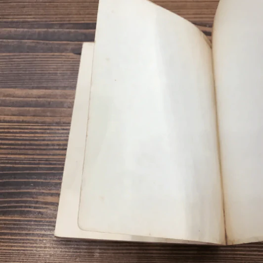 หนังสือส่วนตัว เล่มที่สอง (ข ไข่) เขียนความคิด รูปที่ 18