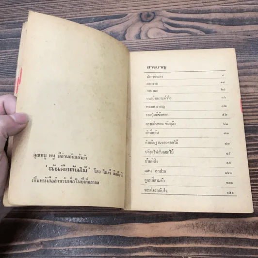 คำอธิษฐานของดอกไม้ - ลมุล รัตตากร รูปที่ 9